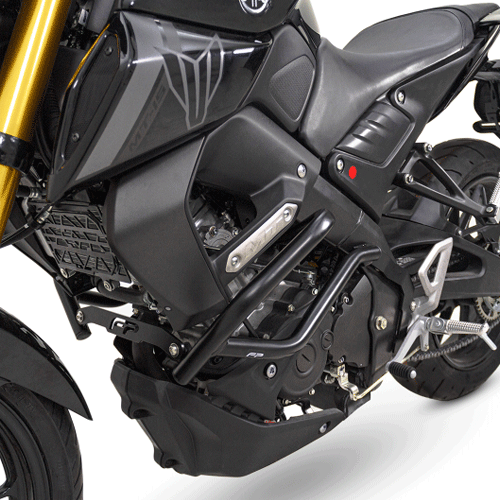 Imagen 2